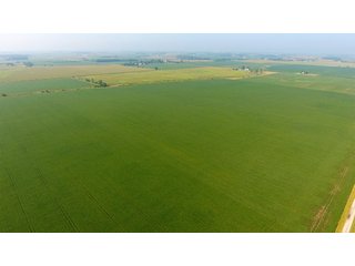 Property photo 1 - LAND AUCTION - 359+/- ACRES IN 2 FARMS IN EAST ALLEN CO., INDIANA & PAULDING CO., OHIO